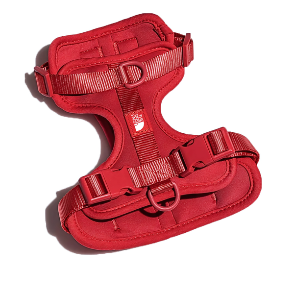 The Dog Face Summit Series Harness (color: Red)