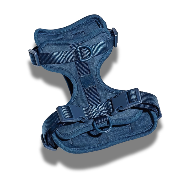 AdventurePro Harness