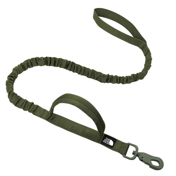 The Dog Face Rover Tactical Leash (Color: aloe green)