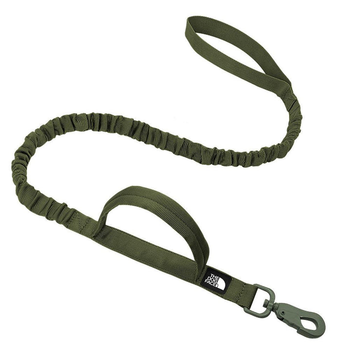 The Dog Face Rover Tactical Leash (Color: aloe green)