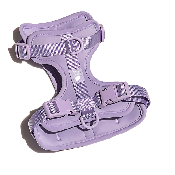 The Dog Face Summit Series Harness (color: High Purple)