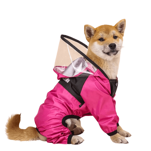 Dog wearin pink Antora Rain Coat  from The Dog Face