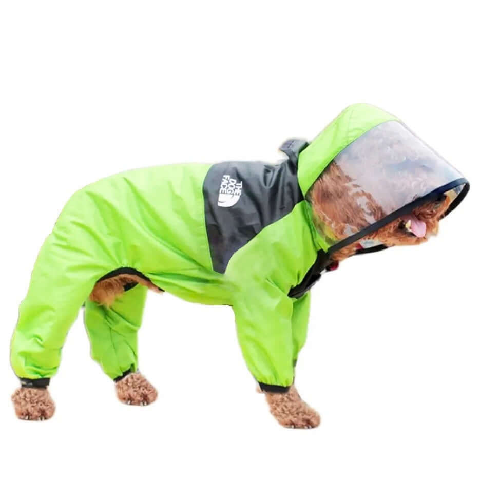 dog wearing Led Yello Antora Rain Coat from The Dog Face